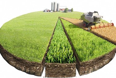 В Оренбуржье узаконят стройку жилья на сельхозземлях